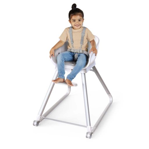 INGENUITY Etetőszék 6in1 Beanstalk ™ Ray ™ 0hó+, 23kg-ig