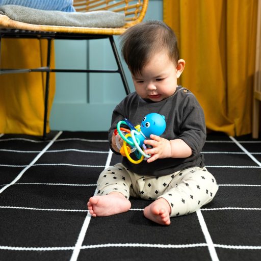 BABY EINSTEIN Rágóka/csörgő Opus’s Shake & Soothe™ 0hó+
