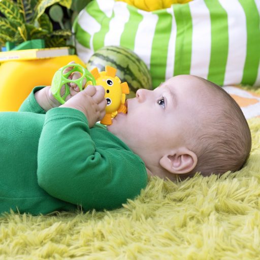OBALL Játék Oball Rágóka Soother Pals™ Easy-Grasp 2db 3hó+