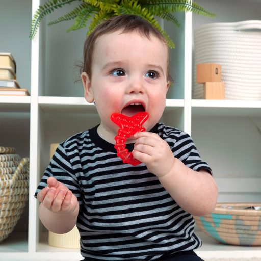 BABY EINSTEIN Rágóka 4db BPA mentes Cool Critters 3hó+