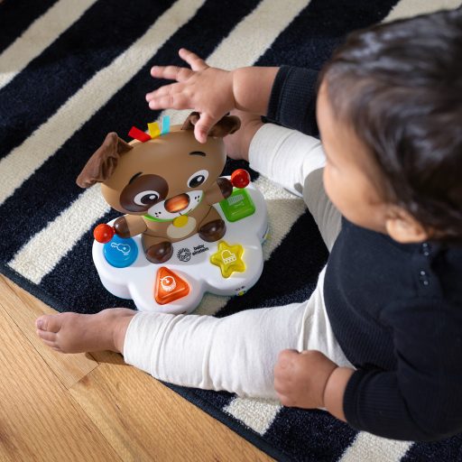 BABY EINSTEIN Zenélő fejlesztő játék Drum & Learn Dean™ 6hó+