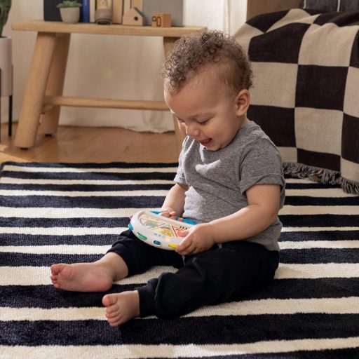 BABY EINSTEIN Játék zenélő tamburin Tap & Shake™ Magic Touch™ HAPE 6hó+