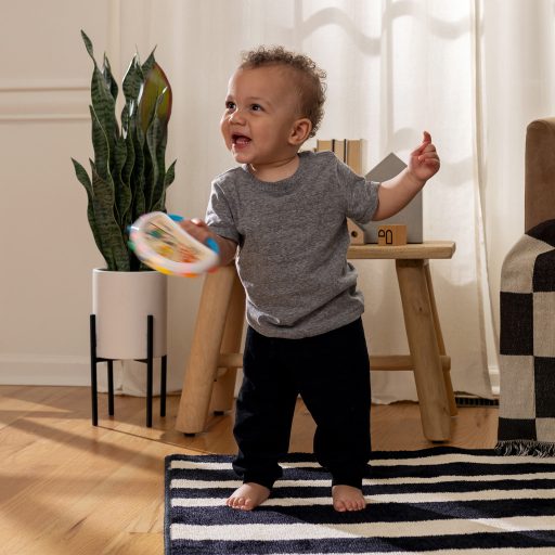 BABY EINSTEIN Játék zenélő tamburin Tap & Shake™ Magic Touch™ HAPE 6hó+