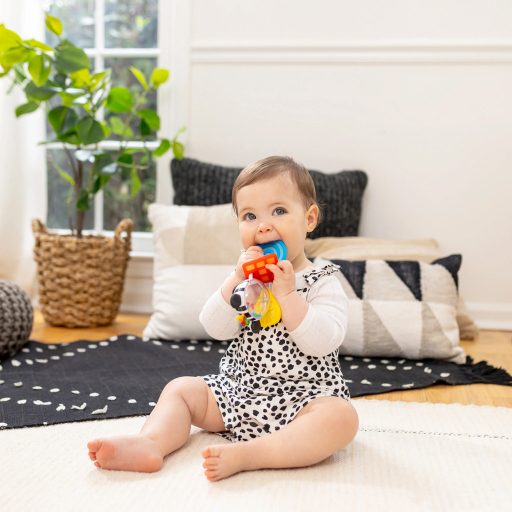 BABY EINSTEIN Rágóka csörgővel zebra Zen™ Shake-a-Shape BPA mentes 0hó+