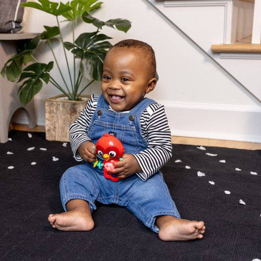BABY EINSTEIN Zenélő érzékszervi játék Roxy's Bright Flight™ 3hó+