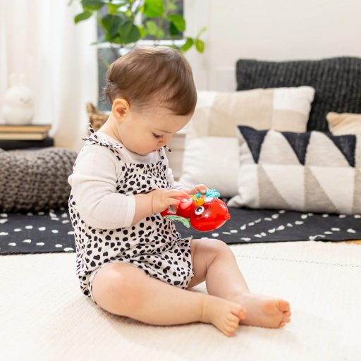 BABY EINSTEIN Zenélő érzékszervi játék Roxy's Bright Flight™ 3hó+
