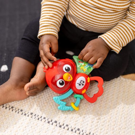BABY EINSTEIN Zenélő érzékszervi játék Roxy's Bright Flight™ 3hó+