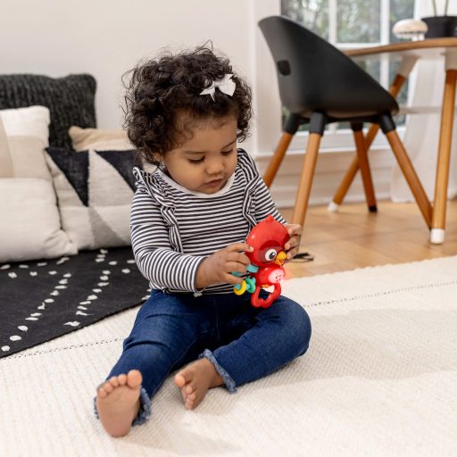 BABY EINSTEIN Zenélő érzékszervi játék Roxy's Bright Flight™ 3hó+
