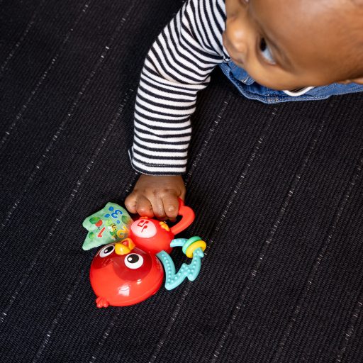 BABY EINSTEIN Zenélő érzékszervi játék Roxy's Bright Flight™ 3hó+