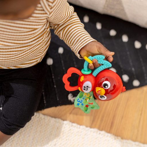 BABY EINSTEIN Zenélő érzékszervi játék Roxy's Bright Flight™ 3hó+