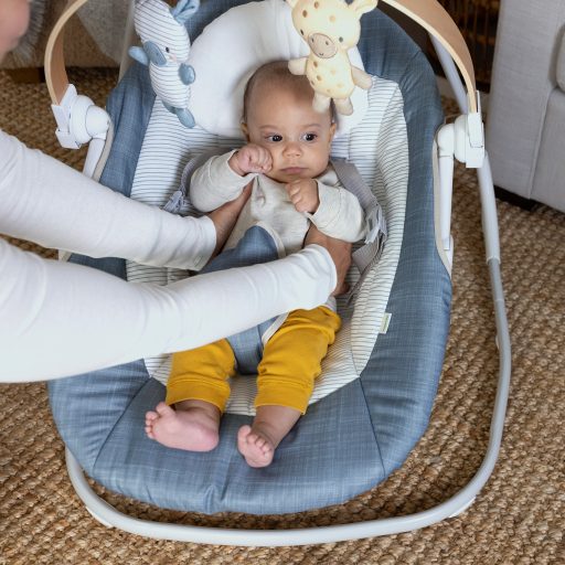 INGENUITY Hintázó zenélő Chambray 0m+, 9 kg-ig