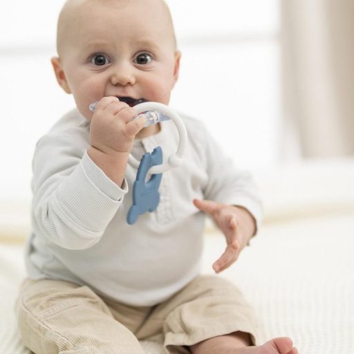 NATTOU Szilikon rágóka hűthető résszel BPA mentes kék egér