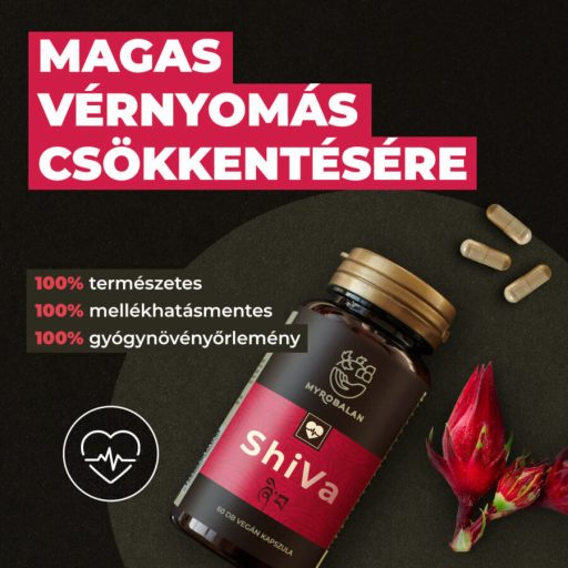 Myrobalan SHIVA vérnyomáscsökkentő gyógynövény-komplex 60 db vegán kapszula
