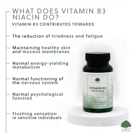 G&G B3-vitamin (niacin) 100mg 120 kapszula