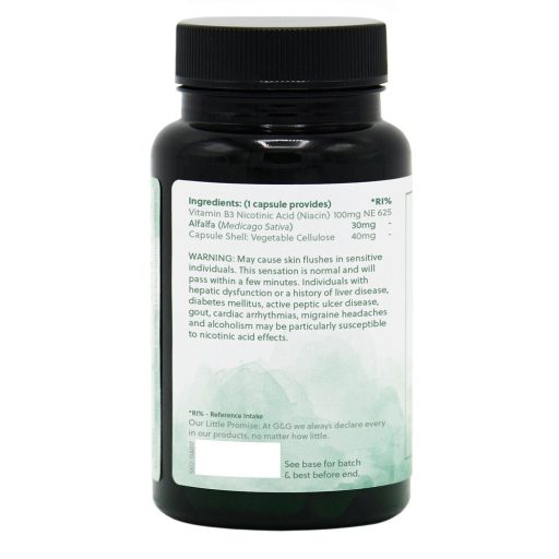 G&G B3-vitamin (niacin) 100mg 120 kapszula