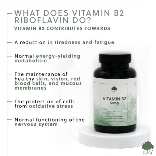 G&G B2-vitamin 50mg 120 kapszula