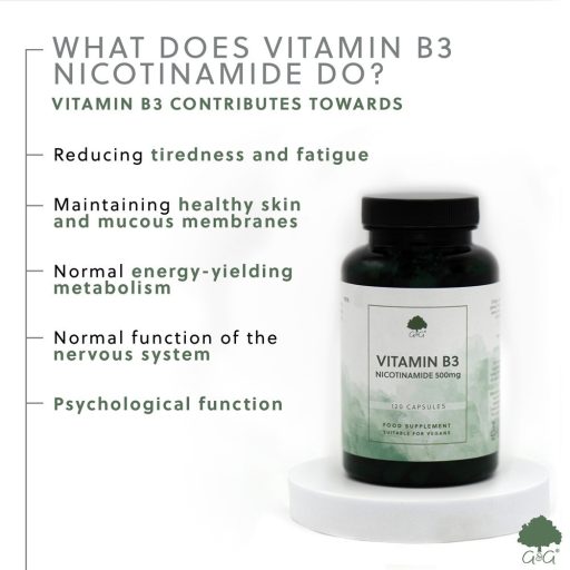 G&G B3-vitamin (nikotinamid) 500mg 120 kapszula