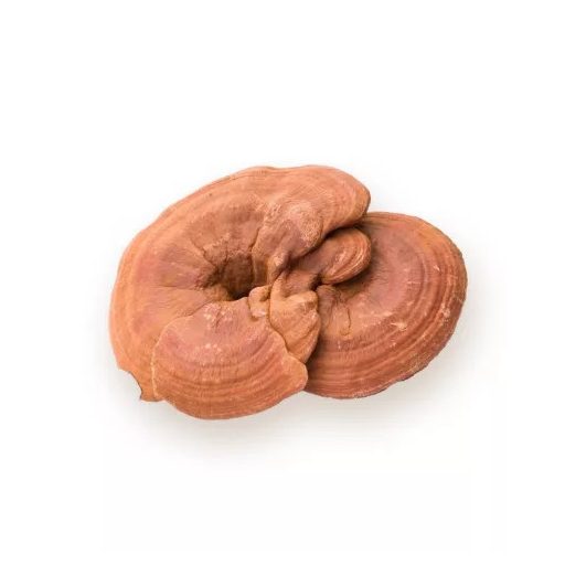 BioMenü BIO GANODERMA gomba kapszula 60 db