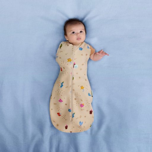 ERGOPOUCH Pólya és hálózsák  2v1 Cocoon Birthday Blobs 6-12 m, 8-10 kg, 1 tog