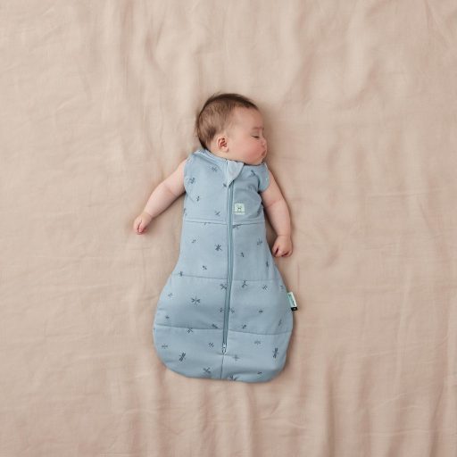 ERGOPOUCH Bebújós és alvózsák 2 az 1-ben Cocoon Szitakötők 3-6 h, 6-8 kg, 2,5 tog