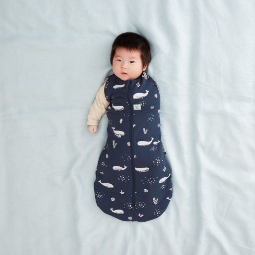 ERGOPOUCH Pólya és hálózsák 2 az 1-ben Cocoon Whale 3-6 hónap, 6-8 kg, 2,5 tog