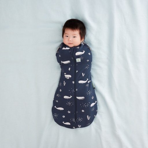 ERGOPOUCH Pólya és hálózsák 2 az 1-ben Cocoon Whale 6-12 hó, 8-10 kg, 2,5 tog